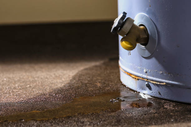 Best Water damage restoration company  in Bourbon, MO