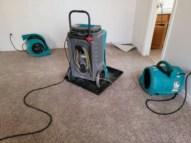 Best Flood restoration services  in Bourbon, MO