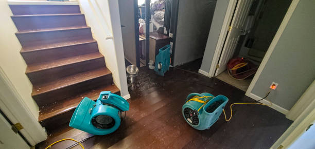 Sewage cleanup and water damage restoration in MO