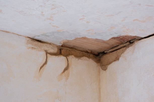 Best 24/7 water damage repair  in Bourbon, MO