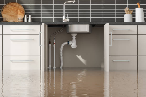 Best Residential water damage restoration  in Bourbon, MO