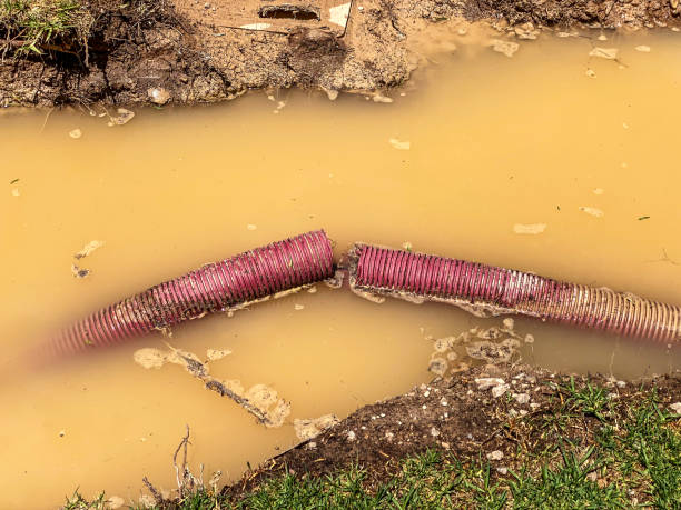 Best Water damage restoration cost  in Bourbon, MO