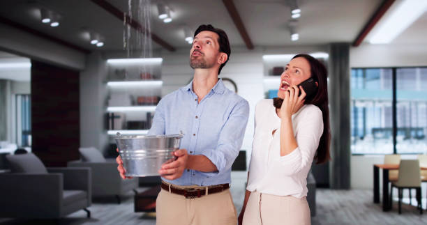 Best 24-hour water damage restoration  in Bourbon, MO